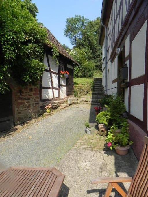 Ferienwohnung Tiererlebnishof Obermuehle Biebergemund エクステリア 写真